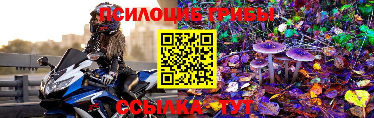 Псилоцибиновые грибы MAGIC MUSHROOMS Избербаш