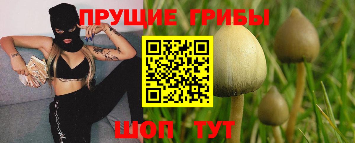 Псилоцибиновые грибы ЛСД  Вход с VPN  цены   Избербаш 
